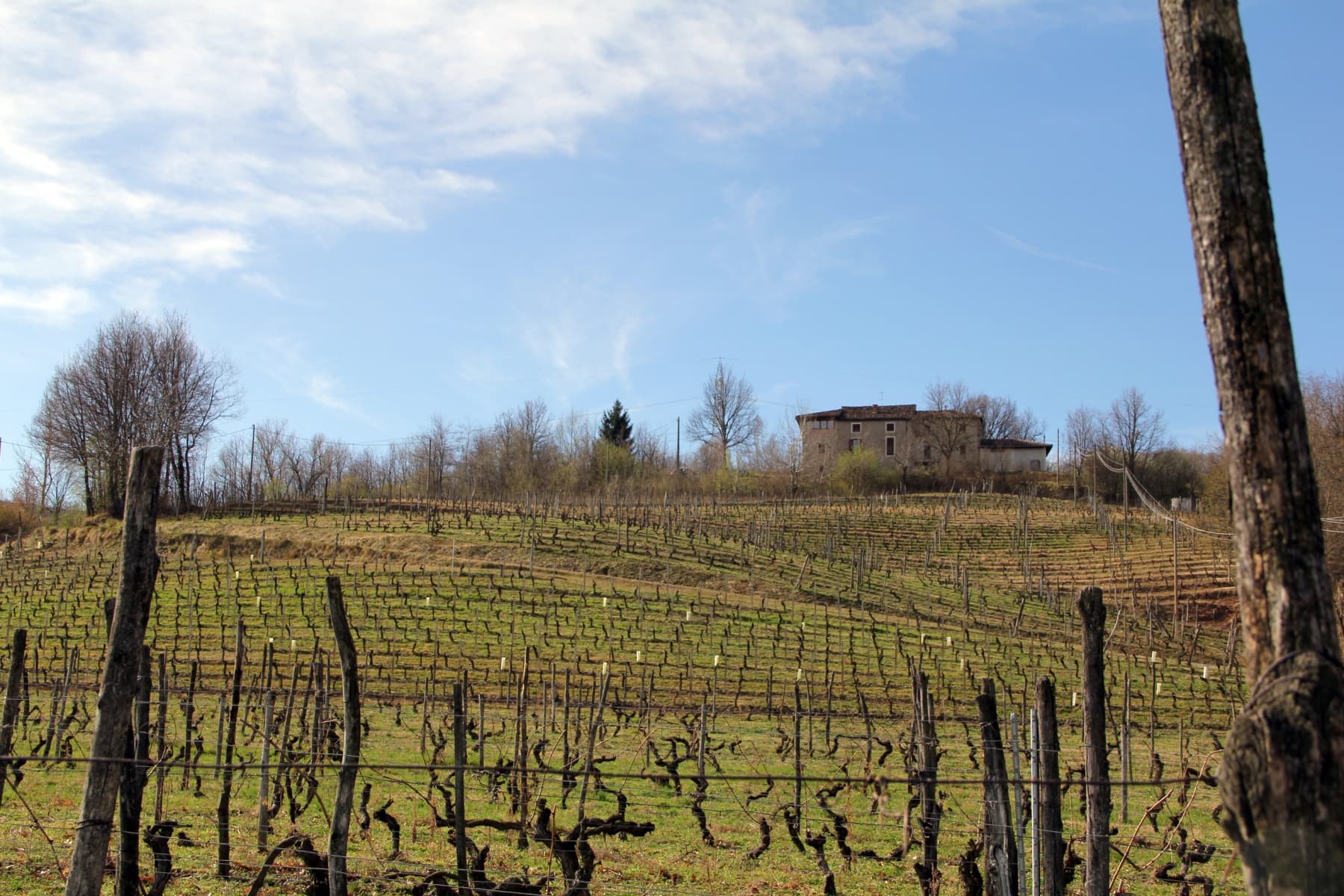 Panorama colline